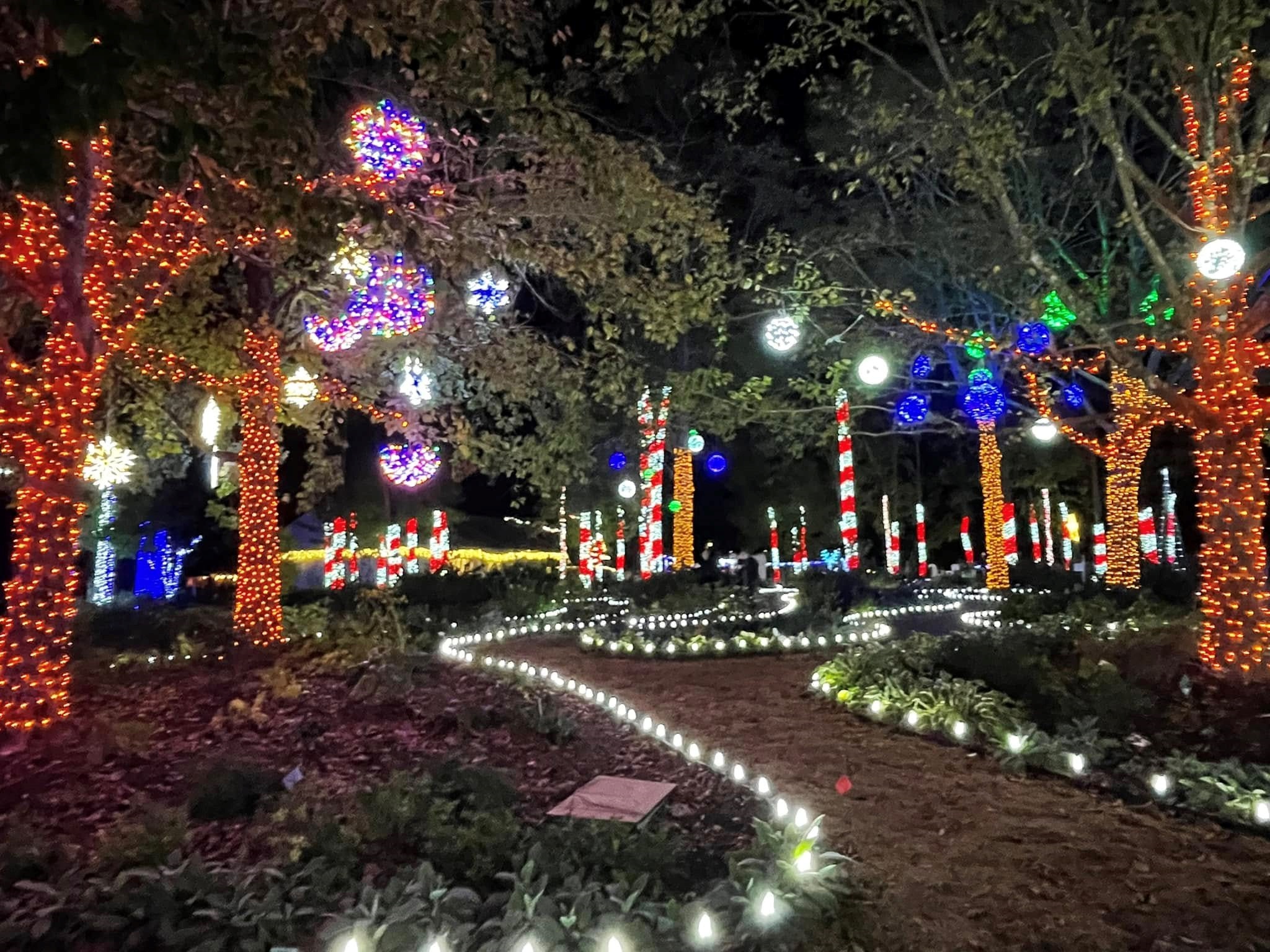 The Southern Lights at the Gardens of Southeastern NC