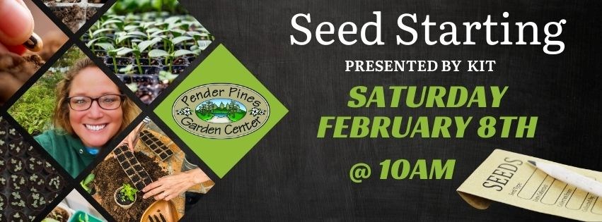 Pender Pines Seed Starting Seminar