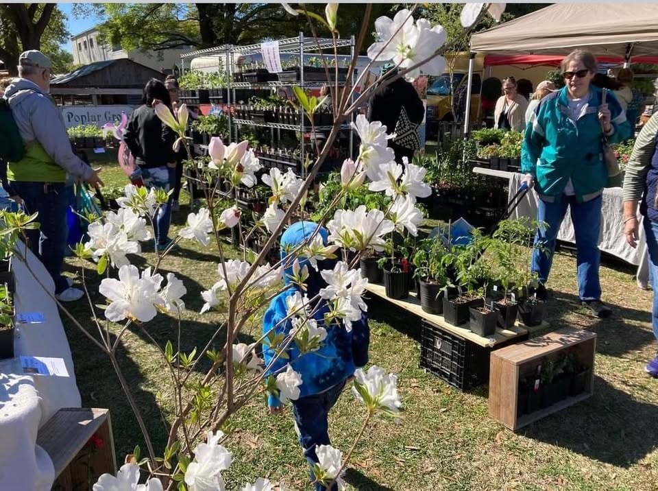 5th annual plant sale at Paradise Flower Farm