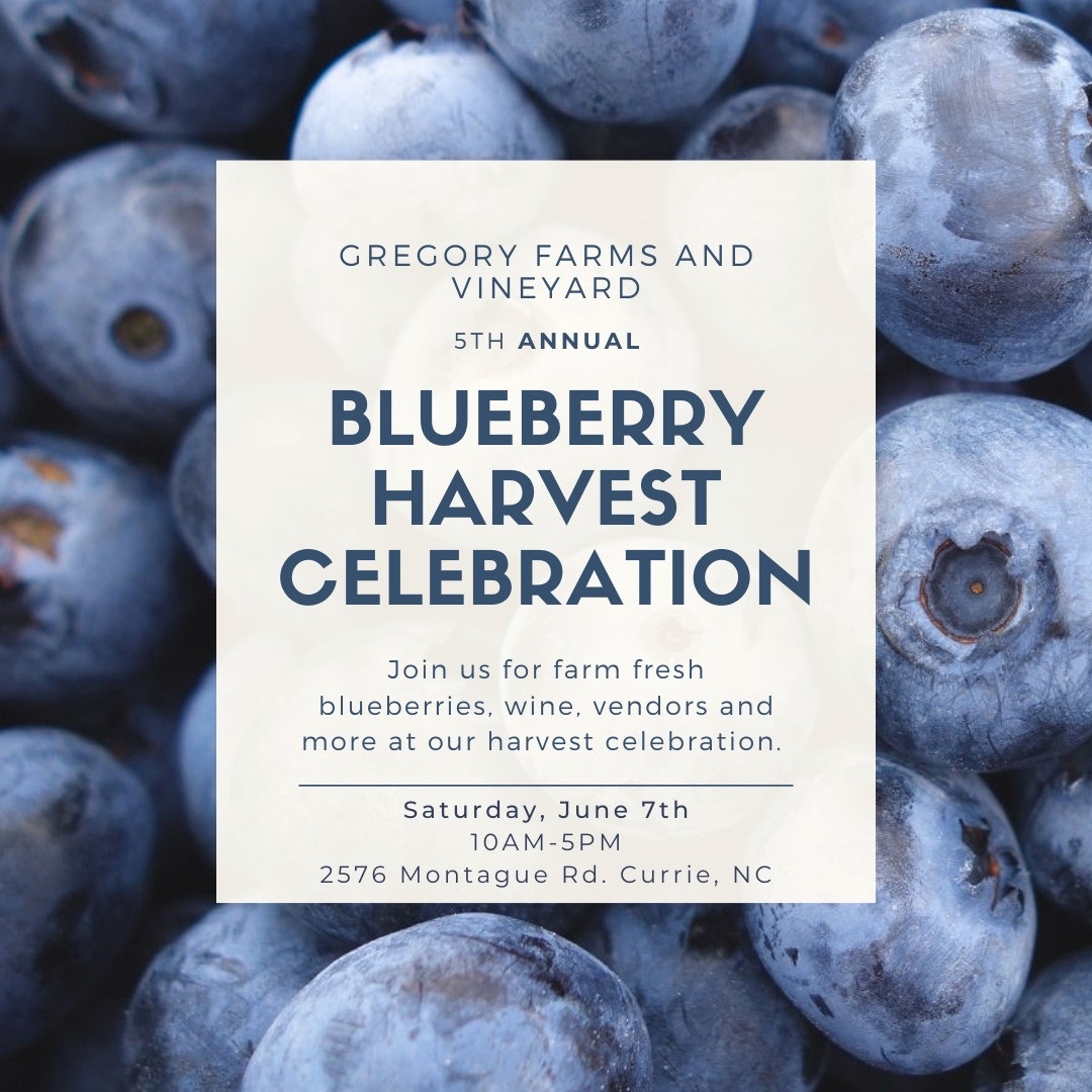 2025 Blueberry Harvest Celebration